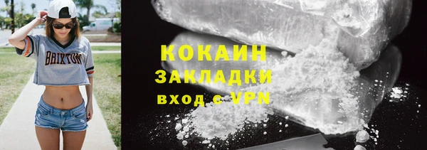 ПСИЛОЦИБИНОВЫЕ ГРИБЫ Верея