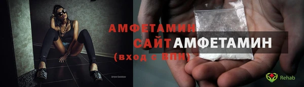 шишки Бородино