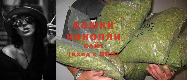 ПСИЛОЦИБИНОВЫЕ ГРИБЫ Верея